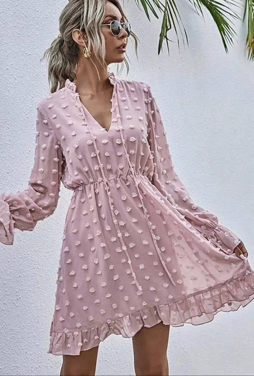 Blush Swiss dot long sleeve dress